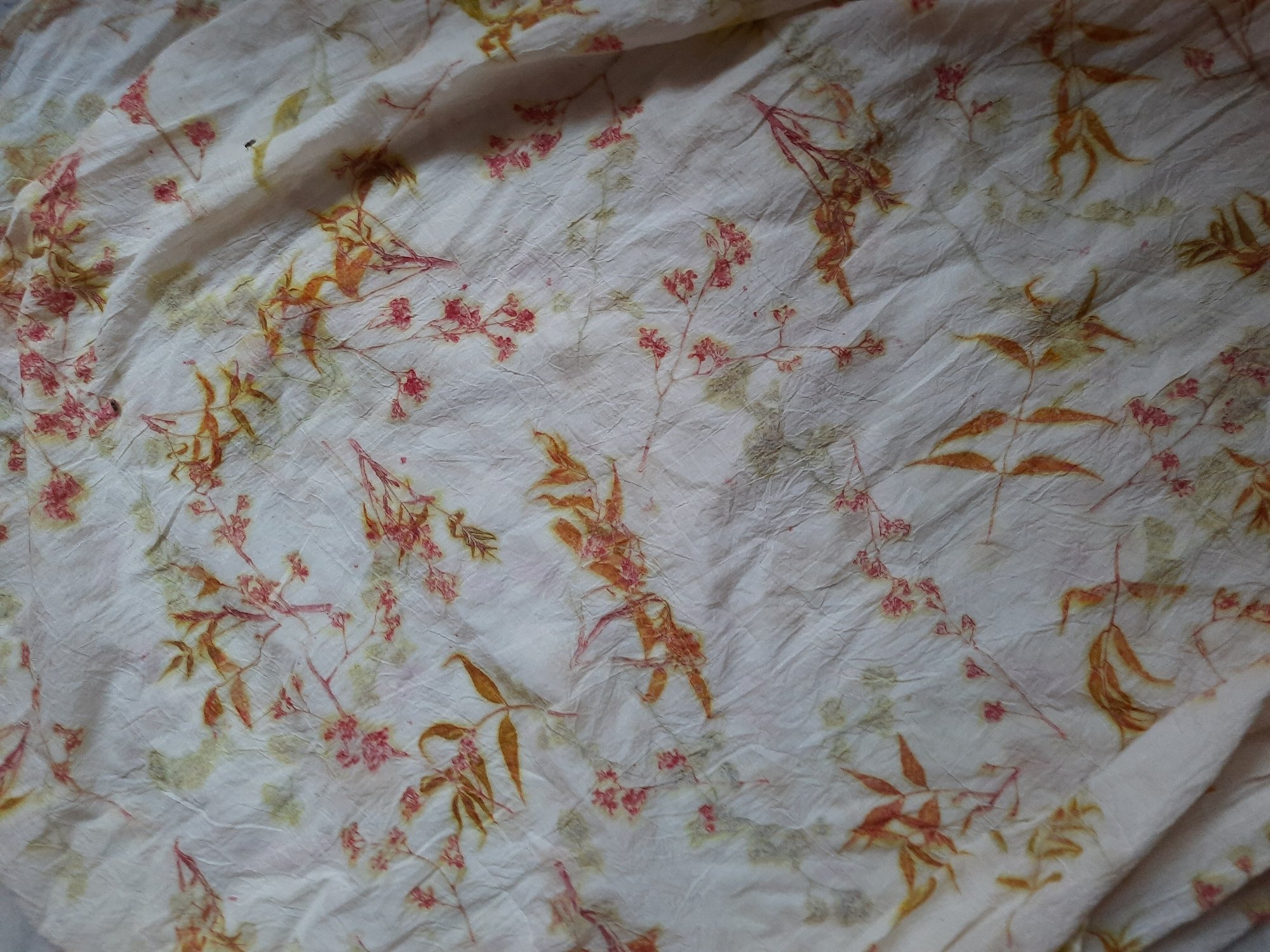 Eco Cotton Fabrics